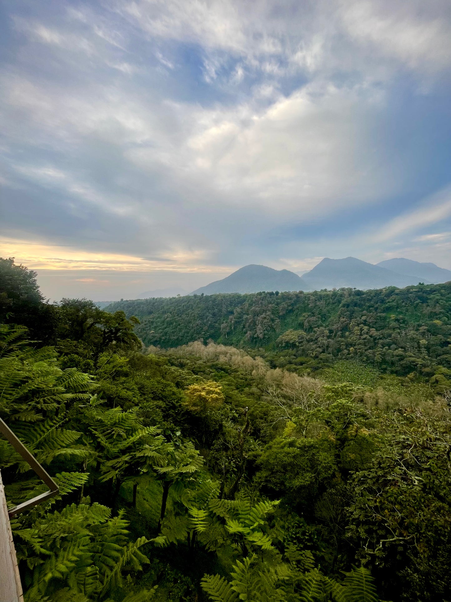 Tierra de Reinas